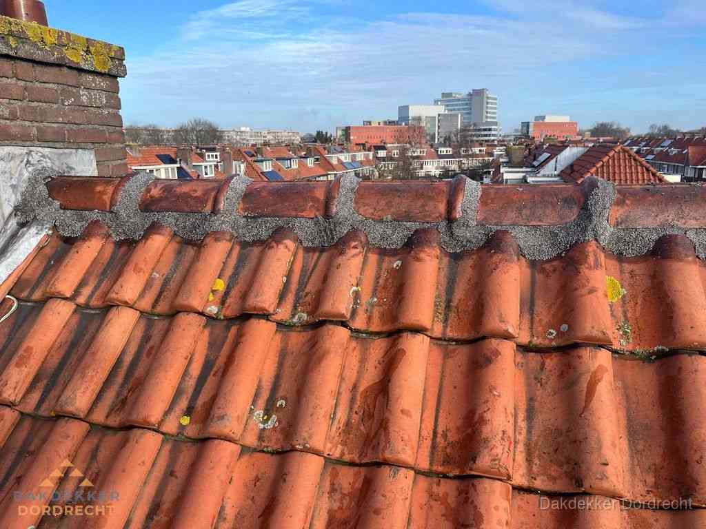Nieuw bitumen plat dak met uitzicht over woonwijk in Dordrecht Nieuw bitumen plat dak met uitzicht over woonwijk in Dordrecht