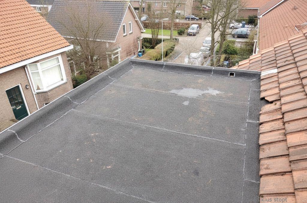 Dakdekker In Najaar Dordrecht 1
