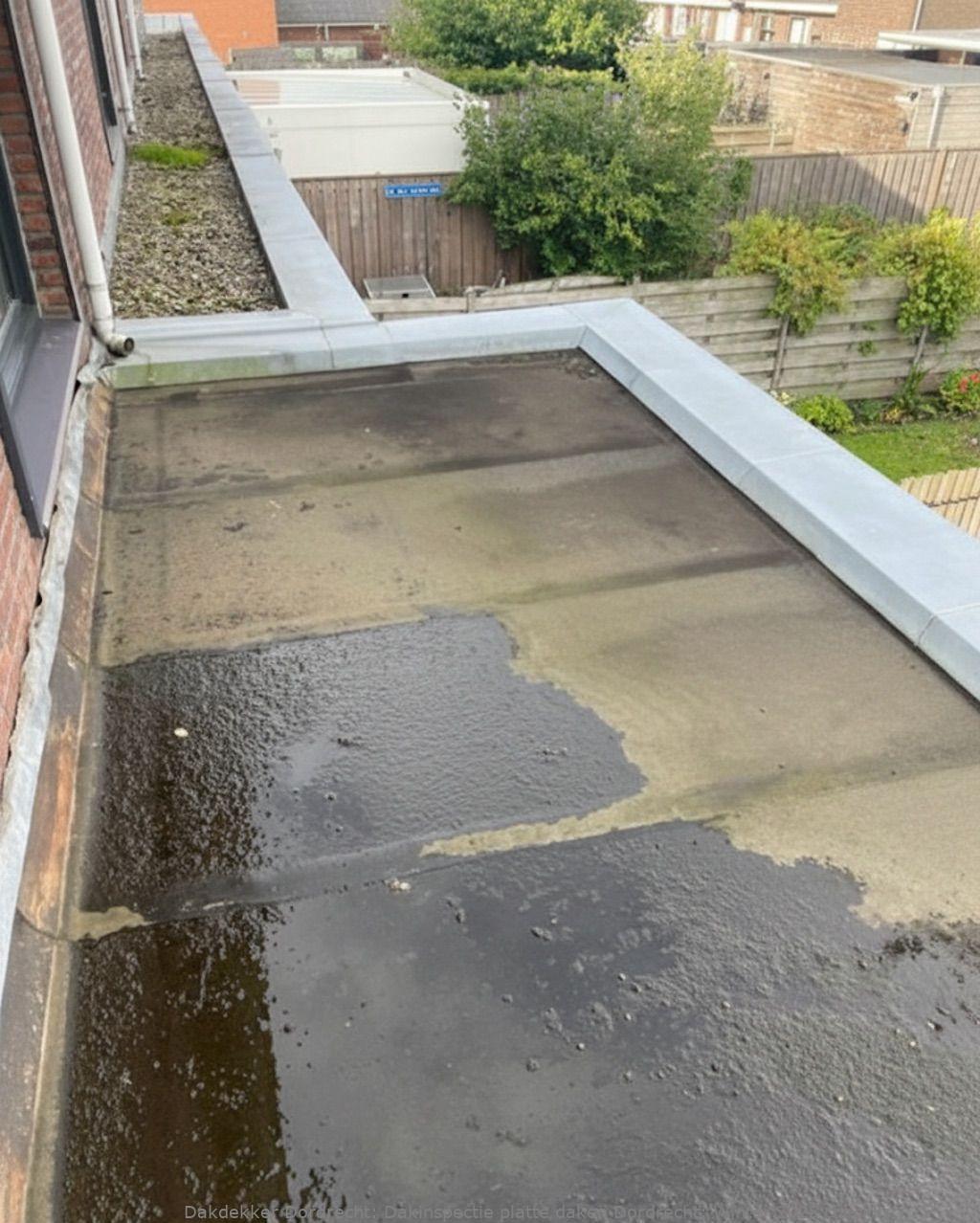 Dakinspectie Platte Daken Dordrecht