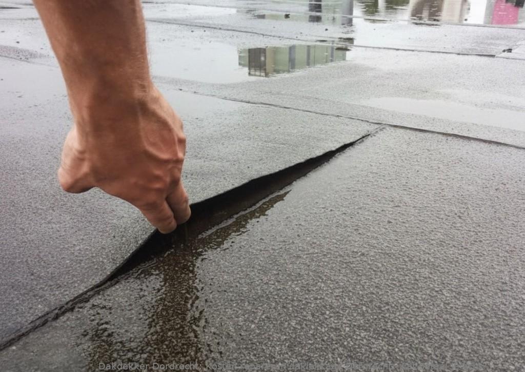 Kosten Repareren Daklekkage Dordrecht