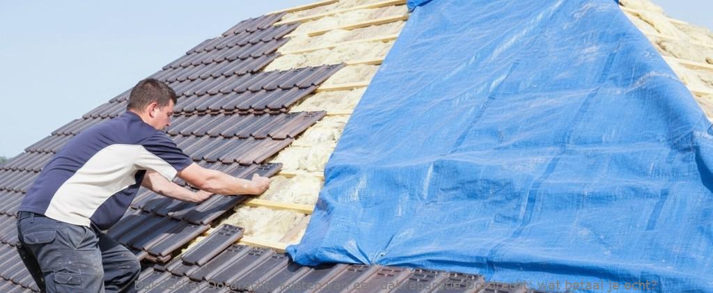 Kosten Van Een Dakreparatie Dordrecht