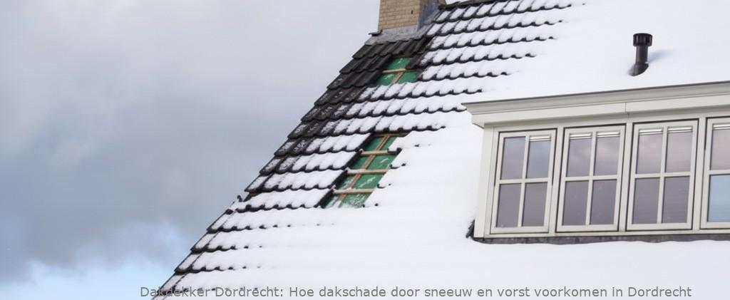 Schade Door Sneeuw En Vorst Dordrecht